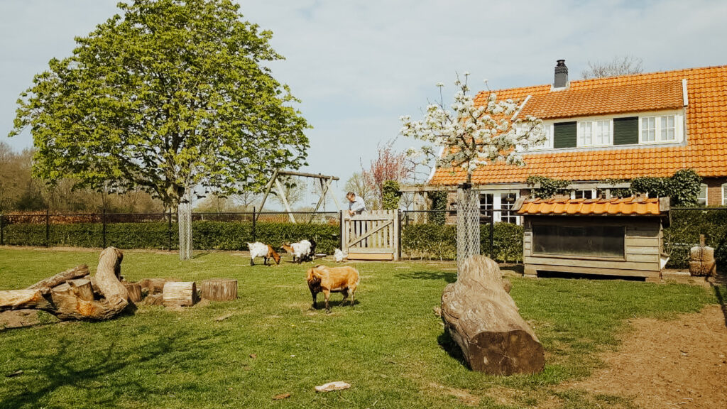Landelijke B&B Overijssel